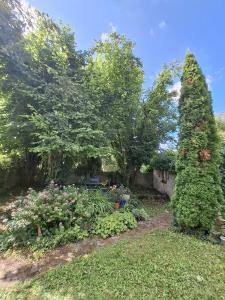 Atypical apartment - panoramic view of wooded garden