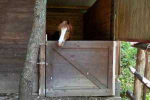 Alma Turismo Apartment