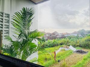 Firdaus Studio Apartments