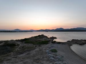 L'isola che non c'è NG Collection img27