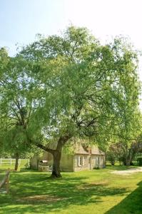 Maisons de vacances Maison avec piscine & tennis partages - proche Chateaux de la Loire - 1h30 de Paris : Maison 2 Chambres