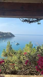 VistaMare img11