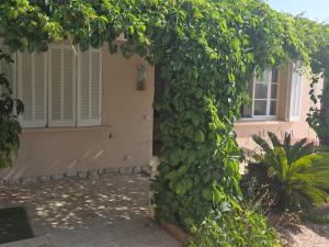 Maisons de vacances Villa Manoa : photos des chambres