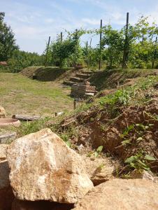 Rive rosse
