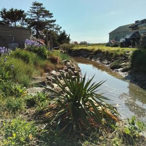 Maisons de vacances La Maison Du Soleil Couchant - avec jardin - a 250 m de la plage - Veranda : photos des chambres