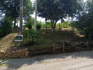 Rive rosse