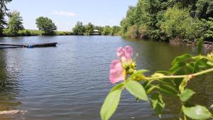 Campings Caravanne 4 Pers Vue Sur L-etang : photos des chambres