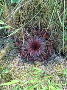 Maisons de vacances Gite Chez Arnaoutou : Maison de Vacances