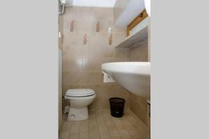 House among the olive trees