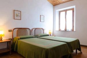 House among the olive trees