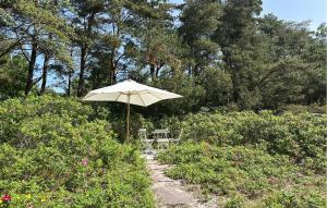 Amazing Home In Aakirkeby With Wifi