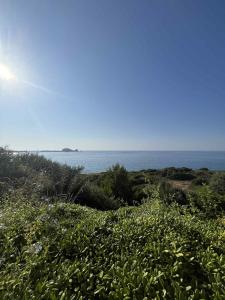 Appartements Superbe appartement en bord de mer : photos des chambres