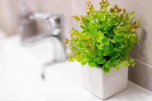 Апартаменти Тарнавського