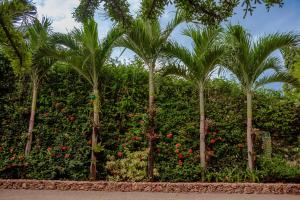 Namangi Cottage, Country Living in Dar