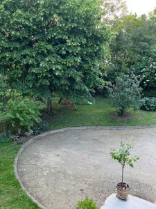 Appartements Gite Nany : photos des chambres