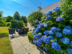 Maisons de vacances Ker Martin, entre Paimpol et Perros-Guirec : photos des chambres