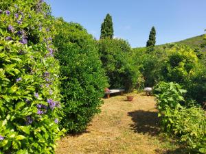 Appartements A Teppa : photos des chambres