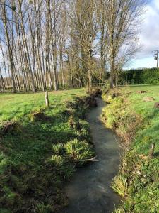 B&B / Chambres d'hotes Poitevins : photos des chambres