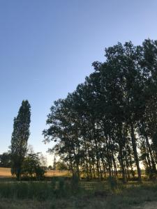 B&B / Chambres d'hotes Poitevins : photos des chambres