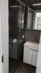 Central apartment 3