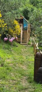 Glamping Castel DellAquila