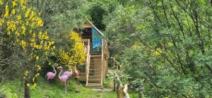 Glamping Castel DellAquila