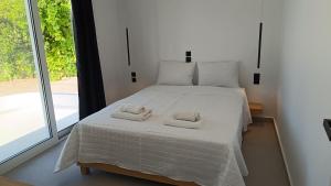 Myrto Villa heated pool