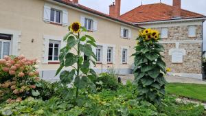 Maisons d'hotes L'Hebergerie : photos des chambres