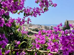 Dobra Voda Cozy Sea View