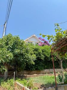 Dobra Voda Cozy Sea View