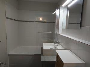 Appartement spacieux 8 pers, animaux acceptés, proche pistes - FR-1-445-16