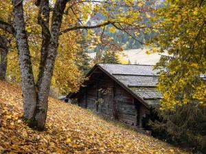 Chalets Chalet 3*, ferme renovee, 10 pers, proche pistes, garage, animaux admis - FR-1-304-162 : photos des chambres