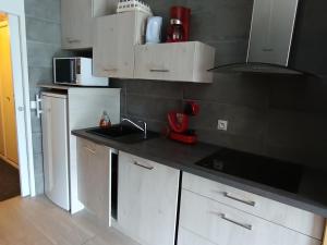 Studio sud à Montgenèvre, animaux admis, proche pistes - FR-1-445-26