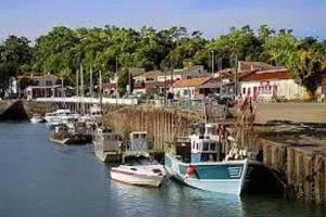 Studio confortable à Dolus-dOléron 26 m² avec piscine