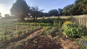 Sejours a la campagne La ferme de beau soleil Gite et cabanes : photos des chambres