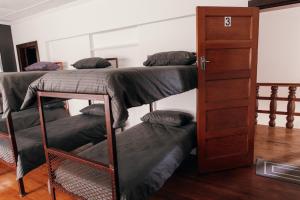 Wilderness Backpackers