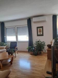 Avocado Apartment