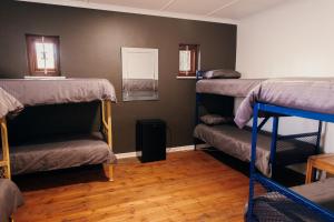 Wilderness Backpackers