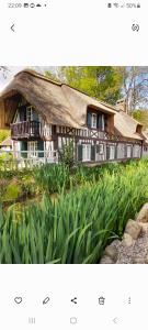 Appartements Les roses a la plage : photos des chambres