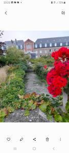 Appartements Les roses a la plage : photos des chambres