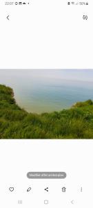 Appartements Les roses a la plage : photos des chambres