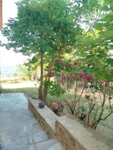 Maisons de vacances Havre de paix a la campagne - Pet Friendly : photos des chambres
