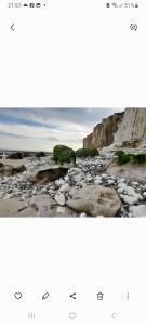 Appartements Les roses a la plage : photos des chambres