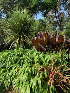 Villas Les cabanes de l'ocean, Villa confort proche plage sauvage : photos des chambres