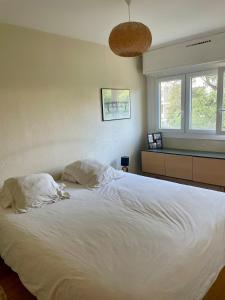 Appartements Beautiful apartment with terrace : photos des chambres
