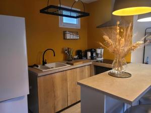 Appartements Le randonneur : photos des chambres