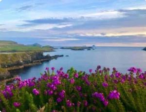 Lomonagh Lodge Portmagee