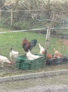 Lomonagh Lodge Portmagee