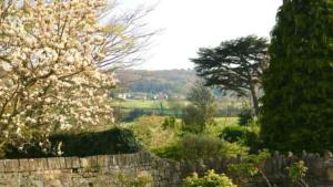 Stunning stone cottage on Baths doorstep