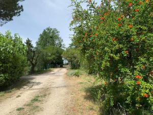 Stanza privata immersa nel verde